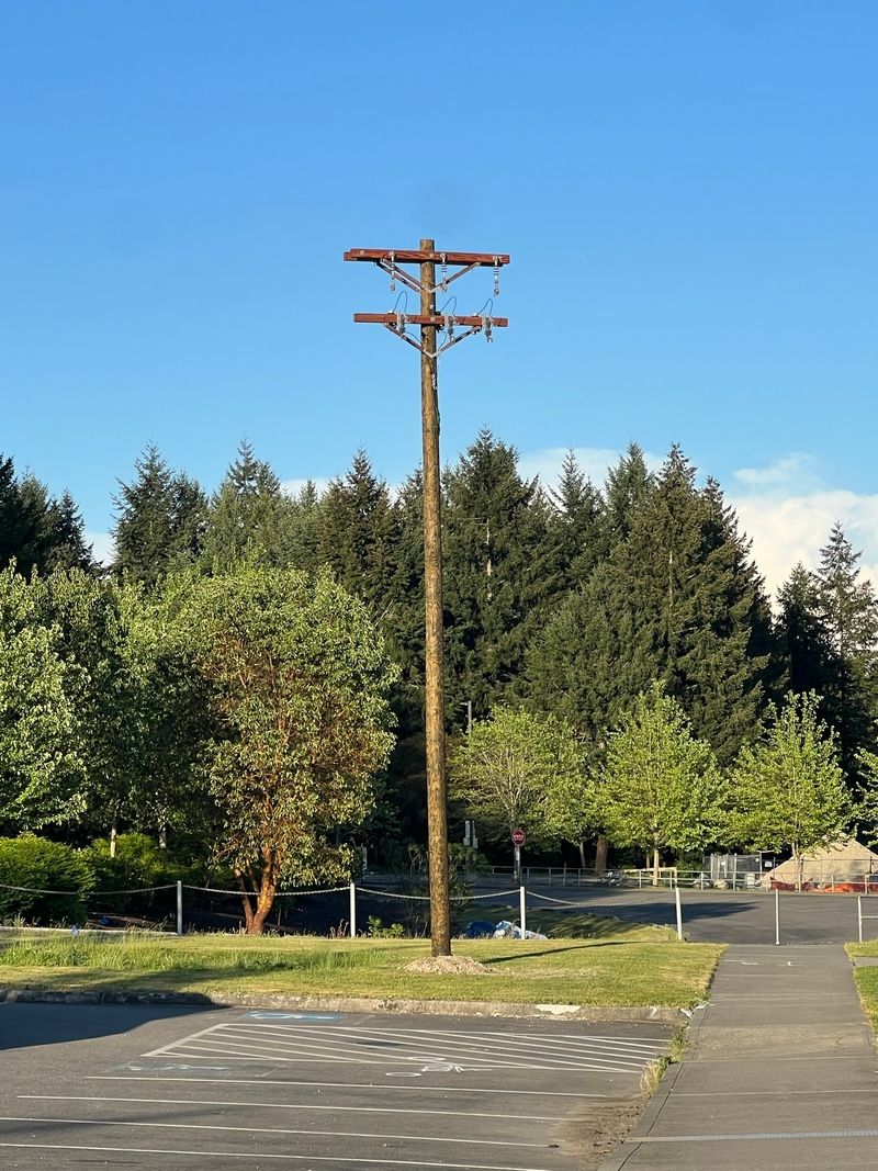 Utility infrastructure and meter pole services